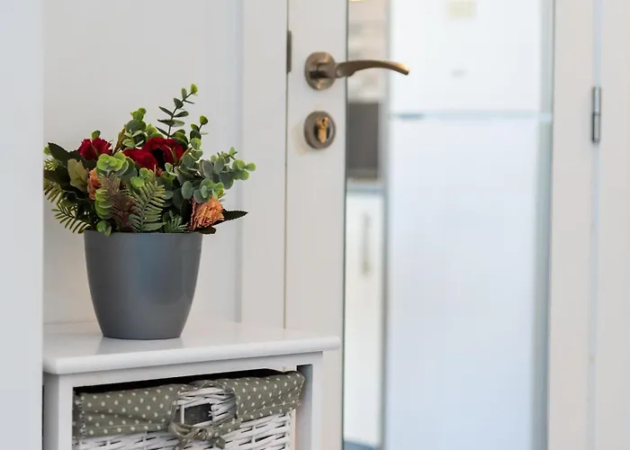 Amazing In Americas Hill أذيخي